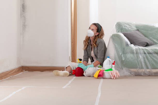 Reliable Basement Mold Remediation contractor in Auburndale, FL by WQB Mold Removal